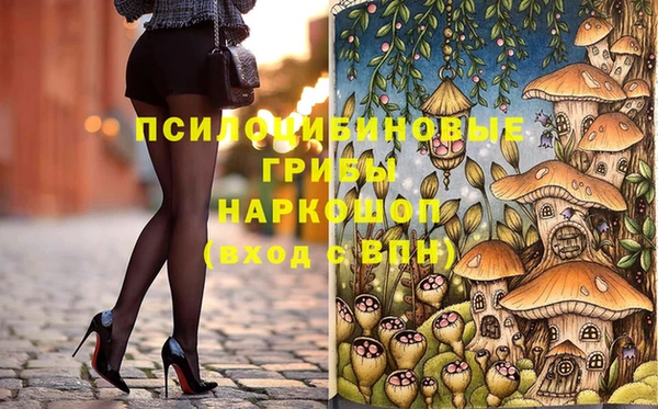 2c-b Горнозаводск