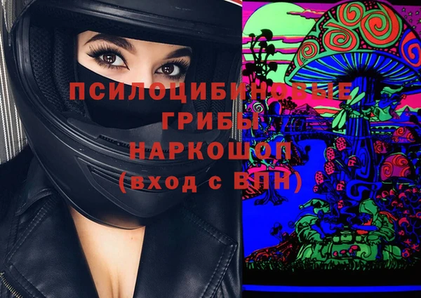 индика Кстово