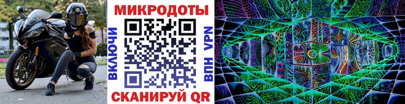 купить наркотики сайты  Саратов  Псилоцибиновые грибы мицелий 