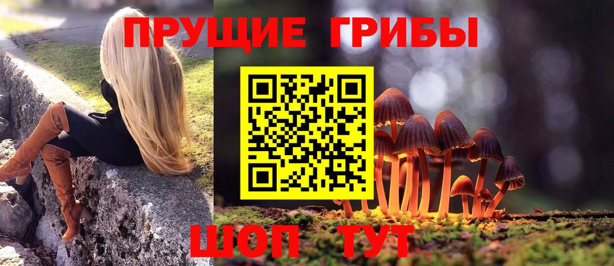 Галлюциногенные грибы Psilocybine cubensis  Галлюциногенные грибы Cubensis  Россия  Вход с VPN 