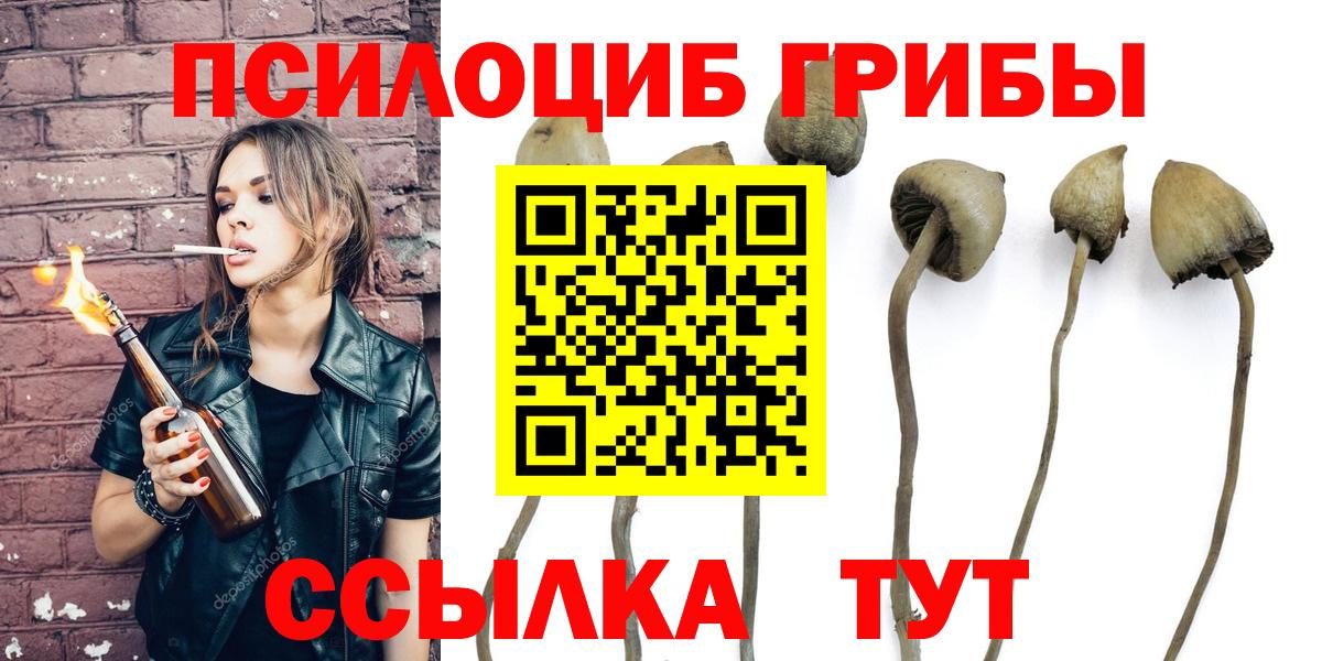 Псилоцибиновые грибы ЛСД Россия